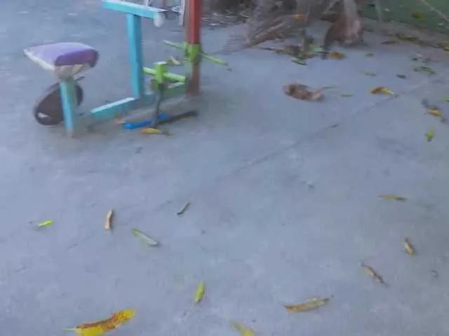 GGIsland on BongaCams 