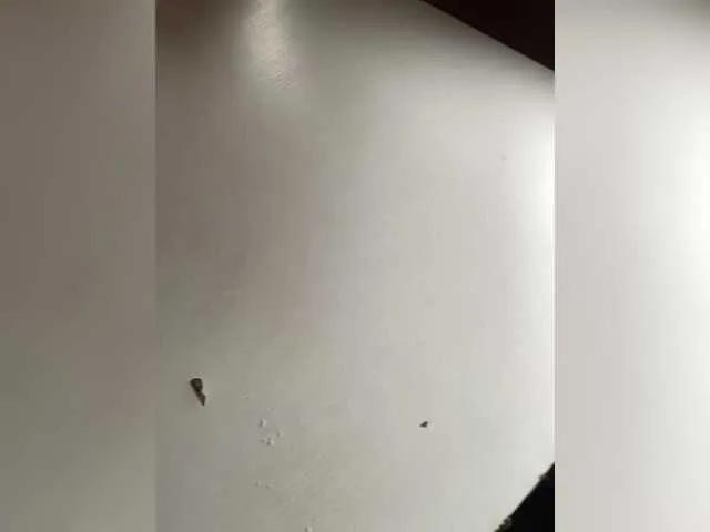 Freechat Lalili on BongaCams