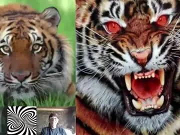 Chaturbate kodiakpm1 is Freechat kodiakpm1 — follow flirt foreplay fuck - Repeating Goal: - #feet #fit #hairy #mature #private