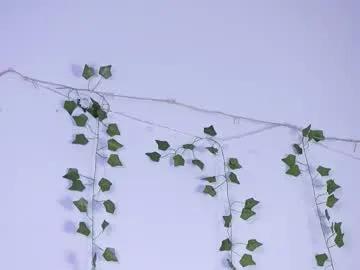 lyly_loveyou — oil pussy zoom  I am back!! please help me get 250 thumbs up guys ;)My name is Lyly! #hairy #skinny #teen #smalltits #yoga [192 tokens remaining]