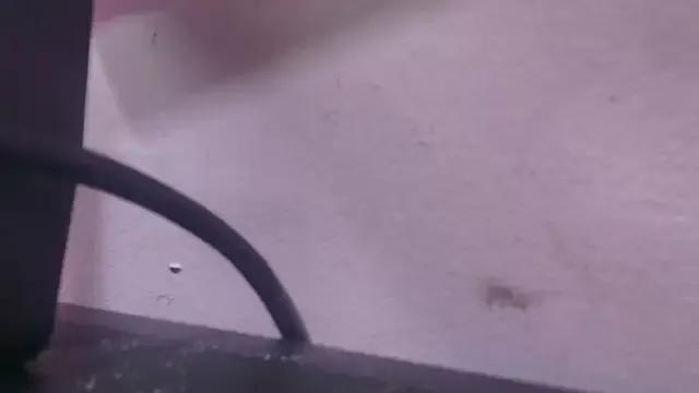 abbyrouss_ on StripChat 