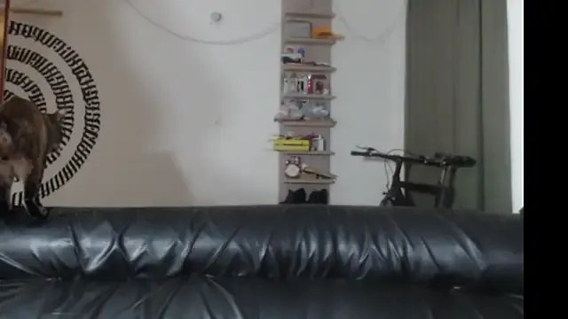 BeautyYoungblond's avatar