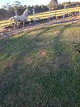 brokecountrylads — cum 4 you