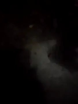 kannada_siri123 on StripChat