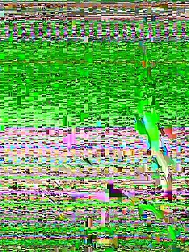 Luna-ass on StripChat