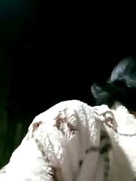 maple694 on StripChat