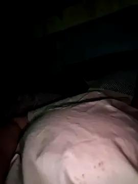 poussychats — Amusez vous