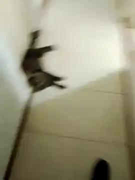 Freechat Shadow_Secret on StripChat