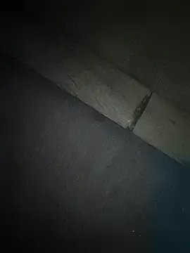 Srmotrs — Precum show