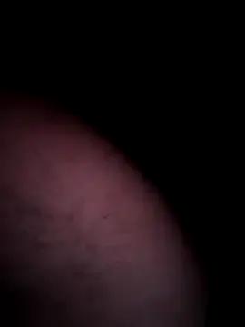 Freechat sukebegorilla on StripChat