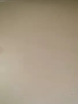 TinyBlazian901 on StripChat