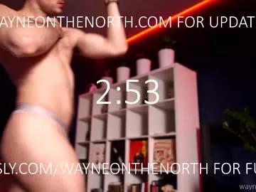 Photos of waynenorth from Chaturbate is Freechat