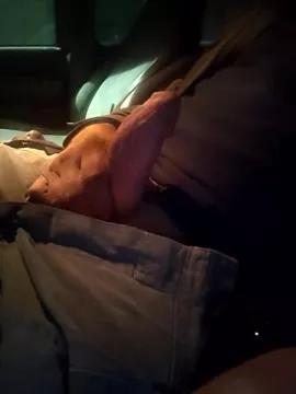 TTolbert from StripChat